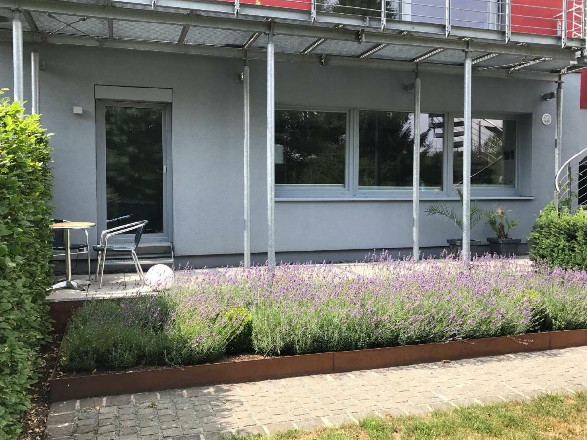 Wander- Und Aktivchalet Birkenfeld  Exterior photo